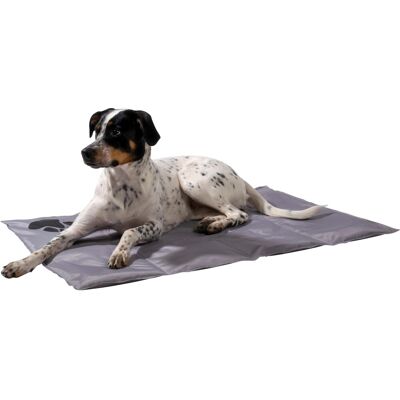 DOBAR Hundematte - 70x100 cm Selbstkühlend - Grau DOBAR Hundematte - 70x100 cm Selbstkühlend - Grau