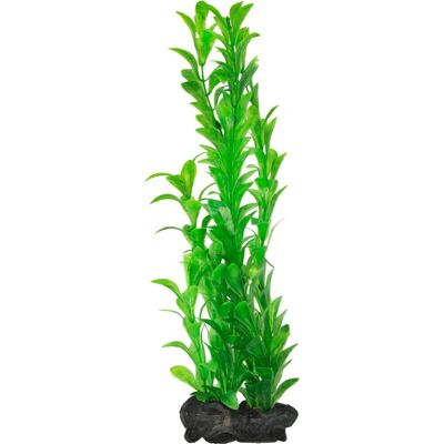 Tetra Marke Künstliche Hygrophila - Aquarien Dekoration - Leicht zu installieren & reinigen Tetra Marke Künstliche Hygrophila - Aquarien Dekoration - Leicht zu installieren & reinigen