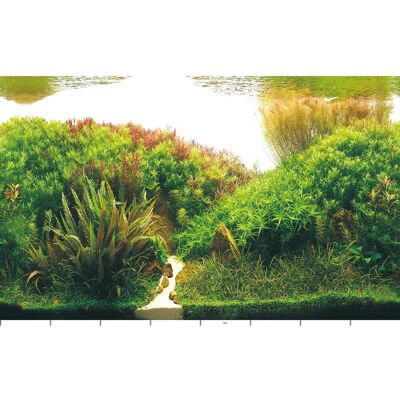 Hobby Fotorückwand-Zuschnitt 120 cm x 50 cm Planted River/Green Rocks Hobby Fotorückwand-Zuschnitt 120 cm x 50 cm Planted River/Green Rocks