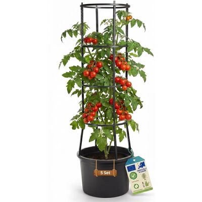 BigDean 5 Stück Tomatentopf XL ca 40cm und 154cm hoch stabil Made in Europa BigDean 5 Stück Tomatentopf XL ca 40cm und 154cm hoch stabil Made in Europa