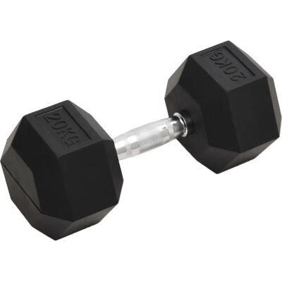 vidaXL 20kg Gusseisen Hex Dumbbell - Fitnessgerät vidaXL 20kg Gusseisen Hex Dumbbell - Fitnessgerät