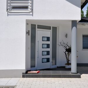 vidaXL Haustür Weiß 100x200 cm Aluminium und PVC - Weiß