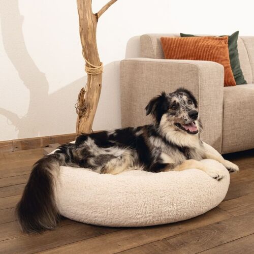 Beeztees Hundebett Jaxx Memory-Schaum 50x20 cm Beige - Beige - Size: 50 x 20 cm