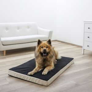 Kerbl Memory-Schaum Hundematratze 100 x 60 cm Beige und Grau 80327 - Mehrfarbig - Size: 100 x 60 cm