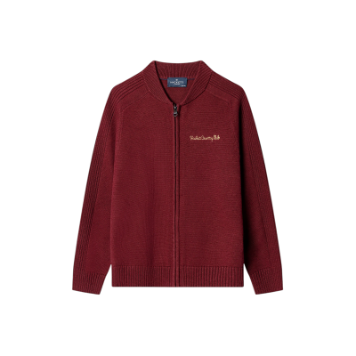 Hackett London für Jungen. HK7000018 Varsity Pullover bordeaux (2Años= 92cm), Lässig, Baumwolle, Kinderbekleidung Hackett London für Jungen. HK7000018 Varsity Pullover bordeaux (2Años= 92cm), Lässig, Baumwolle, Kinderbekleidung