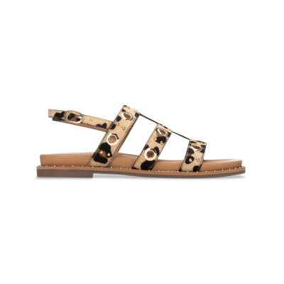 Carmela für Damen. 16320802-LEOPARDO Ledersandalen 163208 braun (37), Wohnung, Schnalle, Lässig, Tierdruck Carmela für Damen. 16320802-LEOPARDO Ledersandalen 163208 braun (37), Wohnung, Schnalle, Lässig, Tierdruck