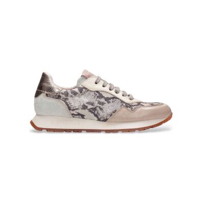 Hispanitas für Damen. PHV253812 Beige Havanna Leder Sneakers (36), Wohnung, 1 bis 3 cm, Schnürsenkel, Lässig, Tierdruck Hispanitas für Damen. PHV253812 Beige Havanna Leder Sneakers (36), Wohnung, 1 bis 3 cm, Schnürsenkel, Lässig, Tierdruck
