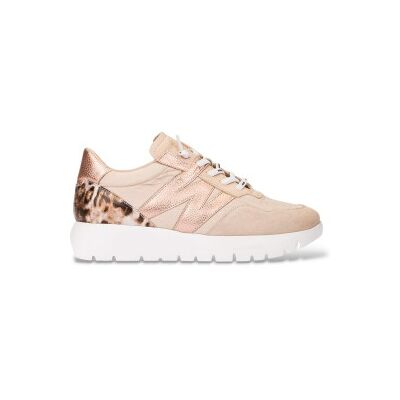 Wonders für Damen. A-24100 Odisei Beige Leder Turnschuhe (41), 3 bis 5 cm, Schnürsenkel, Lässig Wonders für Damen. A-24100 Odisei Beige Leder Turnschuhe (41), 3 bis 5 cm, Schnürsenkel, Lässig