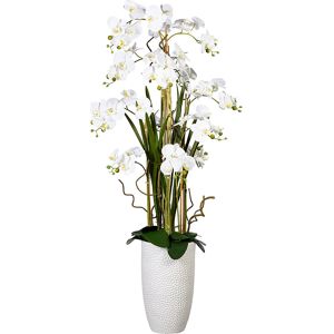 KaiserKraft Schmetterlingsorchidee-Arrangement - Kunstblumen-Deko KaiserKraft Schmetterlingsorchidee-Arrangement - Kunstblumen-Deko
