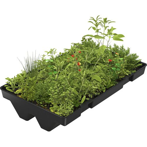 WSM Dachbegrünung Premium, zu fertig montierter Überdachung mit Stahldach, für 8 m² Dachfläche