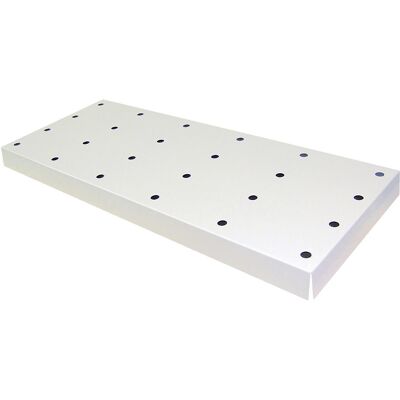 asecos Lochblechabdeckung für Bodenauffangwanne, BxTxH 1017 x 482 x 66 mm, pulverbeschichtet asecos Lochblechabdeckung für Bodenauffangwanne, BxTxH 1017 x 482 x 66 mm, pulverbeschichtet