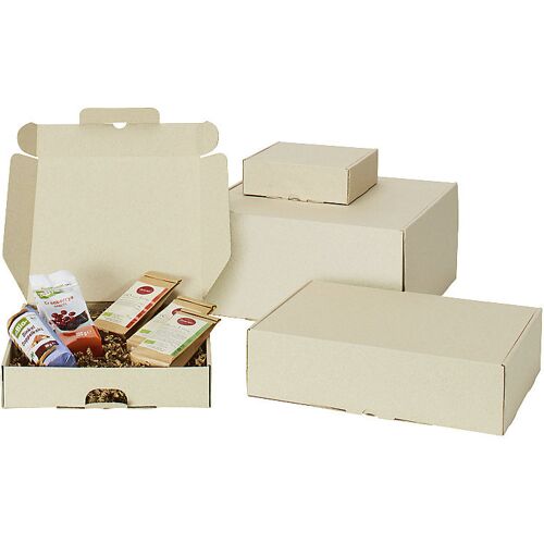 ratioform terra Graspapier-Klappbox, graugrün, VE 50 Stk, Innenmaße 300 mm x 300 x 100 mm, ab 5 VE