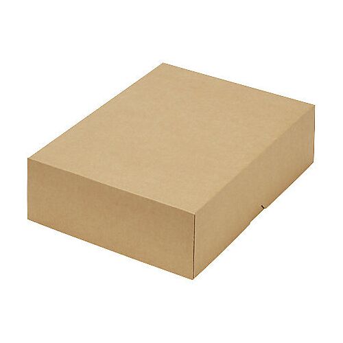 ratioform terra Stülpdeckelkarton, zweiteilig, Innenmaße 302 x 213 x 80 mm, A4, braun, ab 200 Stk