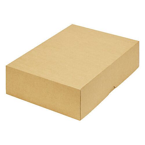 ratioform terra Stülpdeckelkarton, zweiteilig, Innenmaße 321 x 215 x 80 mm, A4+, braun, ab 30 Stk