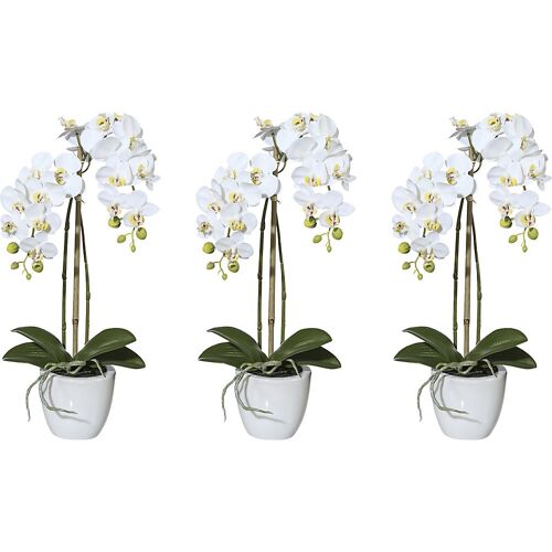 Künstliche Pflanze Miniorchidee Phalaenopsis, Keramiktopf, VE 3 Stk, Höhe 430 mm kaiserkraft