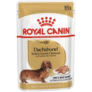 ROYAL CANIN Dachshund Adult Hundefutter nass für Dackel 12x85 g