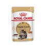 royal canin maine coon 10 kg