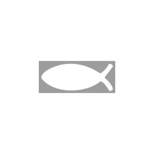 Rayher Fisch 3,8 cm Motivlocher Fisch