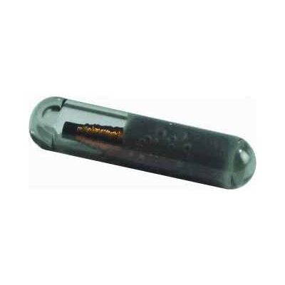 CAME 009TAG Glas-Transponder in Ersatz - Serie TSP01 CAME 009TAG Glas-Transponder in Ersatz - Serie TSP01