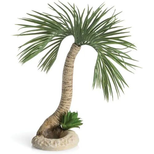 biOrb Palme Seychellen L (72680)