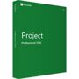 ms office 2016 professional
