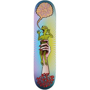 Toy-Machine Skateboard Deck Carpenter Turtle In Hand