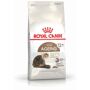 royal canin ageing 12 gelee