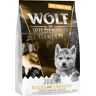 Probierpaket Wolf of Wilderness Trockenfutter - Junior Rocky Canyons - Freiland-Rind (Single Protein) 300 g