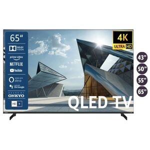 Toshiba QLED Fernseher Smart TV 4K UHD inkl. 6 Monate HD+ »QL5D63DAY«