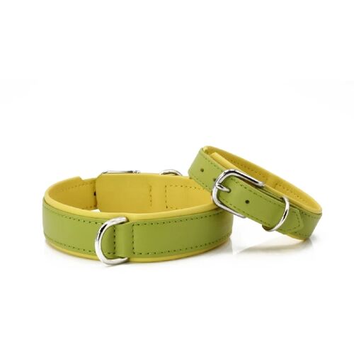 LABONI AMICI Hundehalsband - lemon - Umfang 33-38 cm - Länge 45 cm - Breite 2,4 cm