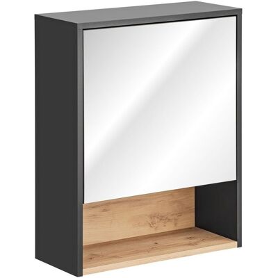 Fun Moebel Badezimmer Spiegelschrank BURBON 75x60cm Graphit matt Fun Moebel Badezimmer Spiegelschrank BURBON 75x60cm Graphit matt