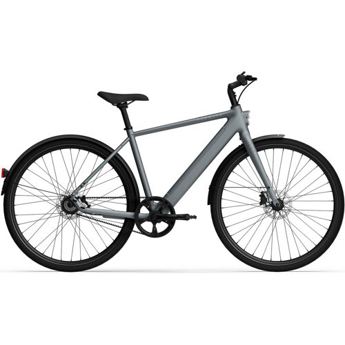 Herren e-Bike Tenways CGO600 Pro (New Edition) grey . 2026 (Rahmenhöhe: XL - 58 cm Körpergr. ab 195 cm)
