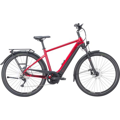 Herren e-Bike Pegasus Premio EVO 10 Lite Herren rot (Rahmenhöhe: 60 cm Körpergrösse ab 190 cm / Akkukapazität: 625 Wh)