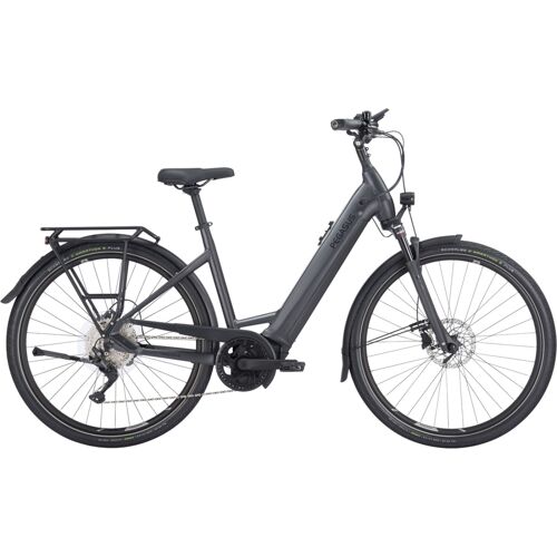 Damen E-Bike Pegasus Premio EVO 10 Lite Wave schwarz (Rahmenhöhe: 55 cm Körpergrösse 175 - 185 cm / Akkukapazität: 750 Wh)