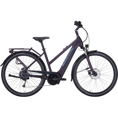 E-Bike Pegasus Solero EVO 9 trapez berry (Rahmenhöhe: 45 cm Körpergrösse 150 - 160 cm / Akkukapazität: 625 Wh)