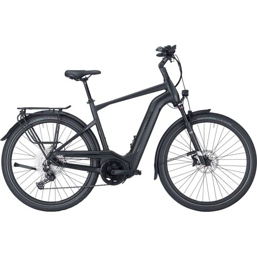 Herren e-Bike Pegasus Strong Evo 11 Lite (Rahmenhöhe: 55 cm Körpergrösse 175 - 185 cm / Akkukapazität: 625 Wh)