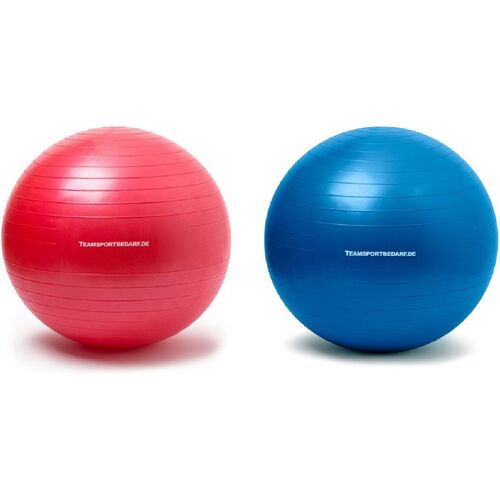 Hergestellt für: Trainingsunterlagen24 GmbH Gymnastikball (antiburst) ø 65 cm - 2 Farben