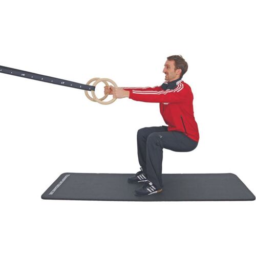 Hergestellt für: Trainingsunterlagen24 GmbH Gym Rings (Turnringe) aus Holz - inkl. Zubehör