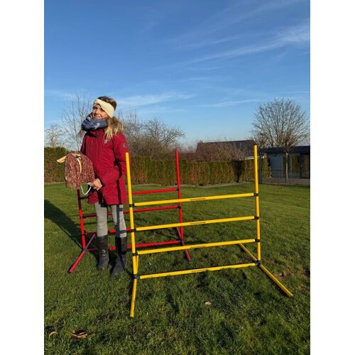 Hergestellt für: Trainingsunterlagen24 GmbH Hobby Horse Sprunghindernis-Set (22-teilig) - 2 Farben