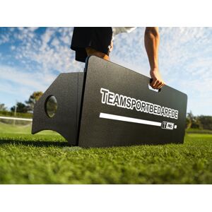 Teamsportbedarf.de T-PRO Prallwand (Passtrainer) - Maße: 100 x 40 cm