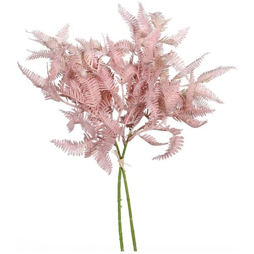 DPI Farn Zweig "Rosee"