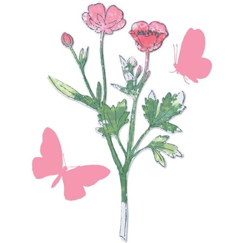 Sizzix Framelits Stanzschablone und Clear Stamps "Painted Pencil Botanical"