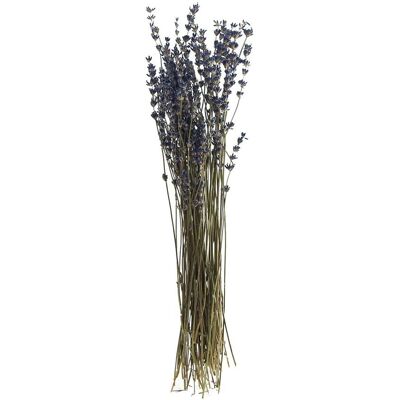 VBS Lavendel natur blau VBS Lavendel natur blau