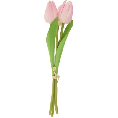 VBS Tulpe "Tammie" - Rosa VBS Tulpe "Tammie" - Rosa
