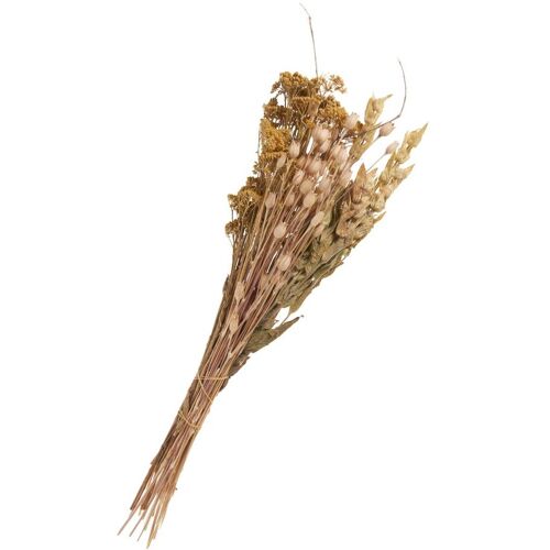 Othmar Decorations Trockenblumen Set "Lona"