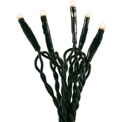 Konstsmide LED-Lichterkette Micro, 50 Dioden warmweiß, Kabel grün Konstsmide LED-Lichterkette Micro, 50 Dioden warmweiß, Kabel grün