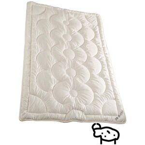 Prolana Ganzjahresdecke VICENZA 155x200 cm 1100g Yakhaar Prolana Ganzjahresdecke VICENZA 155x200 cm 1100g Yakhaar