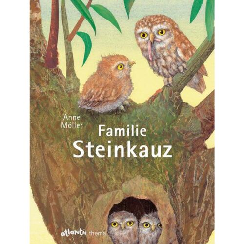 Atlantis Familie Steinkauz