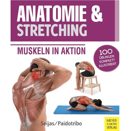 Meyer + Meyer Fachverlag Anatomie & Stretching (Anatomie & Sport, Band 2)