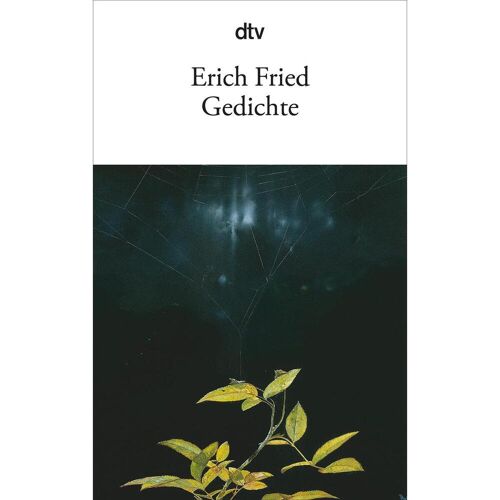 dtv Verlagsgesellschaft Gedichte